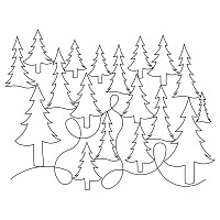 sasquatch pines e2e 002